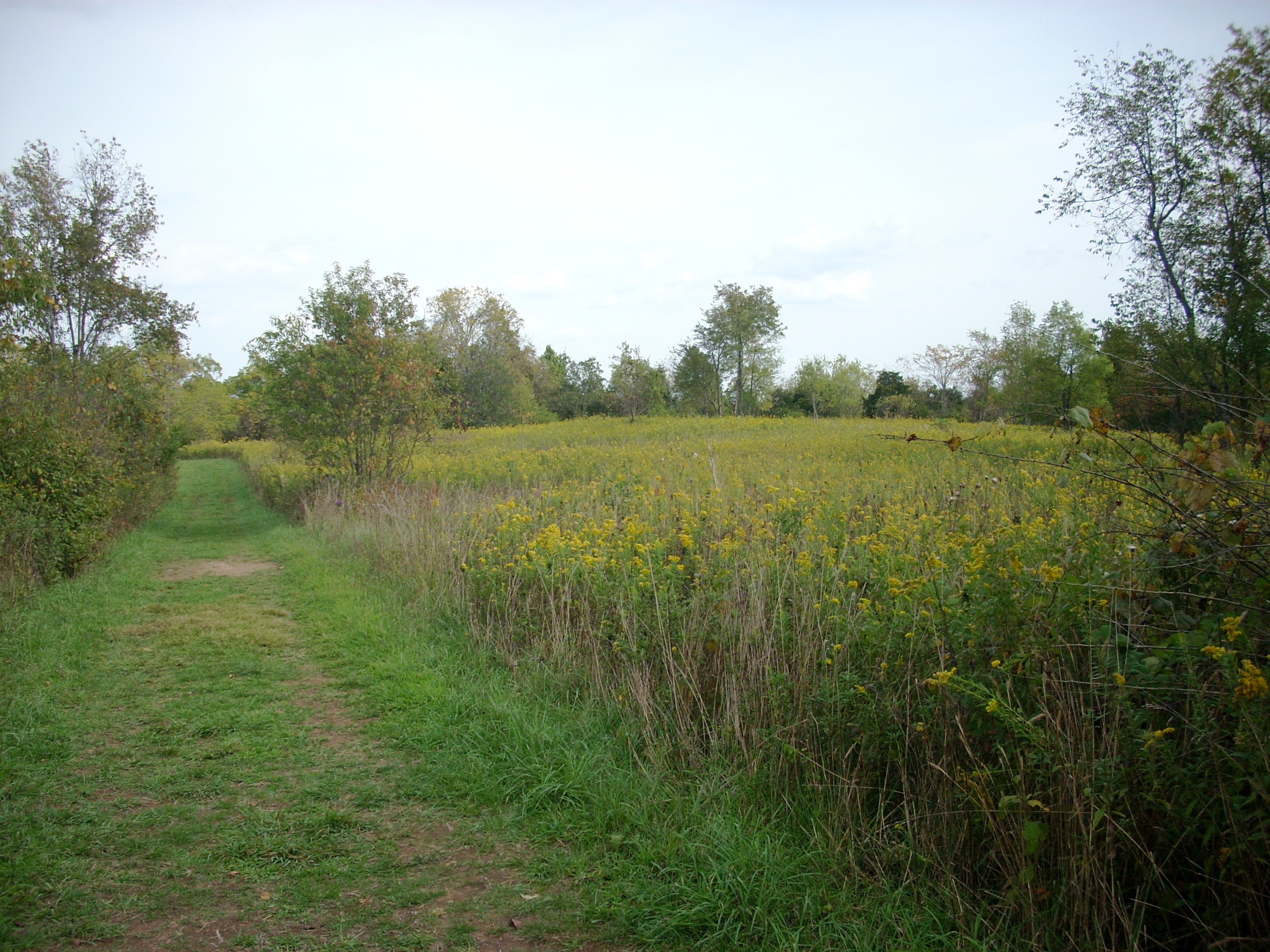 Raven Run Meadow